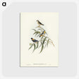 2-61_John-Gould_postcard