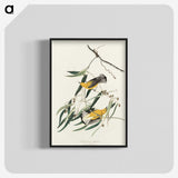 2-61_John-James-Audubon_blk-crop
