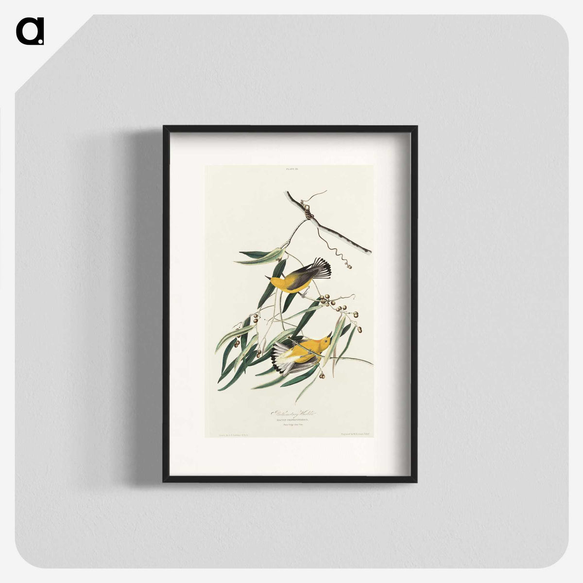 2-61_John-James-Audubon_blk