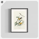 2-61_John-James-Audubon_blk