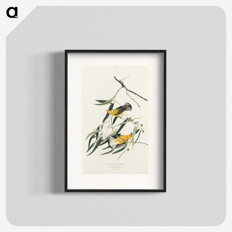 2-61_John-James-Audubon_blk