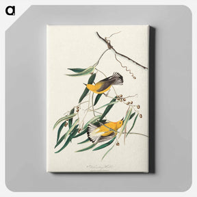 アートパネル-Prothonotary Warbler
 - ジョン ジェームス オーデュボン Canvas.