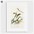 2-61_John-James-Audubon_picture