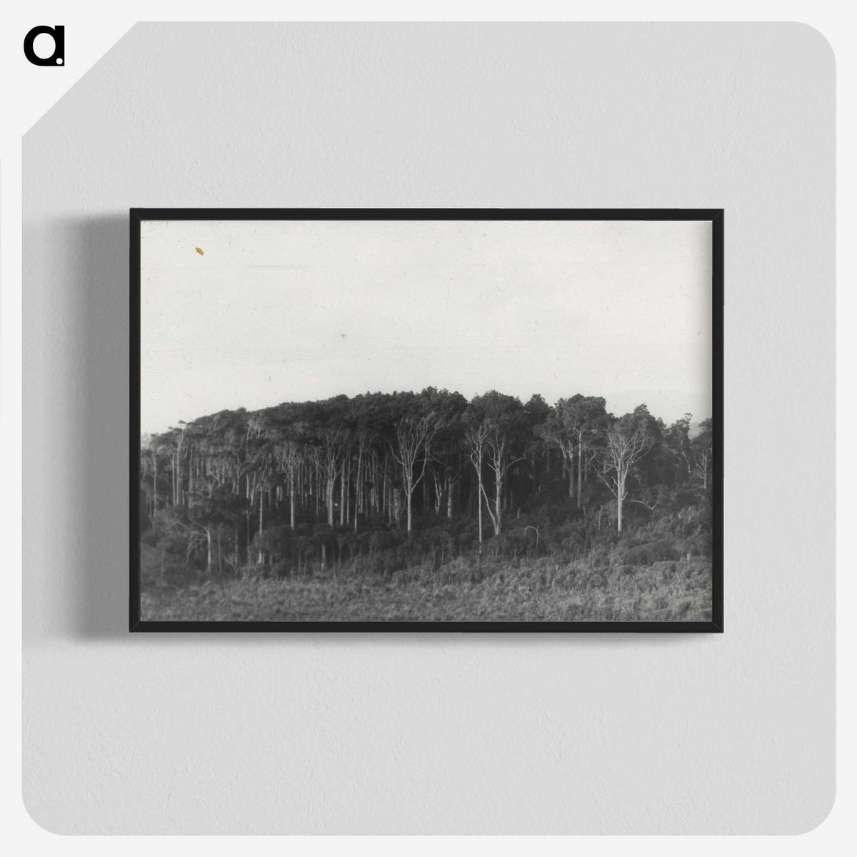 2-61_Leslie-Adkin_blk-crop