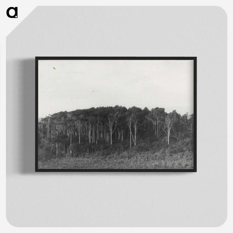 2-61_Leslie-Adkin_blk-crop