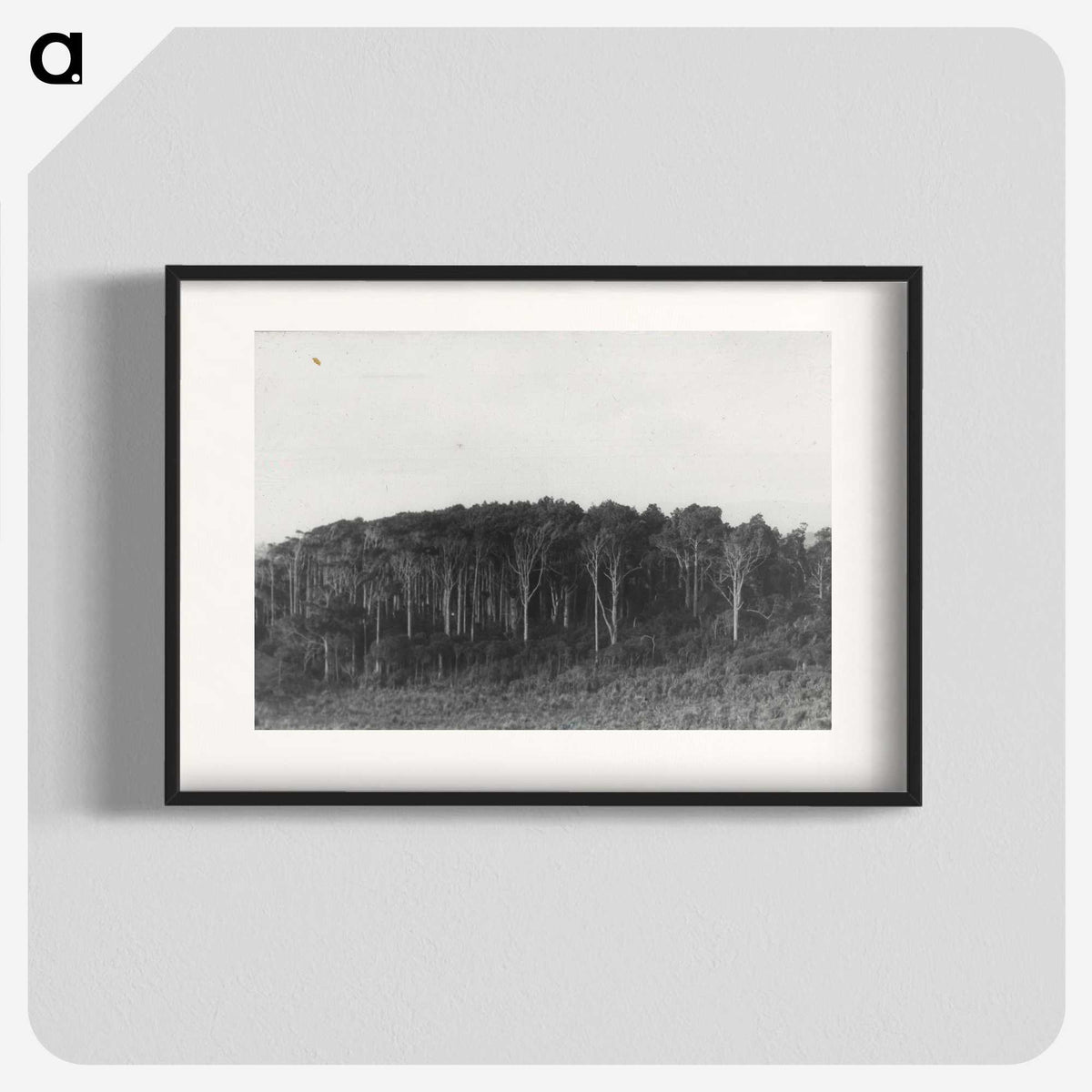 2-61_Leslie-Adkin_blk
