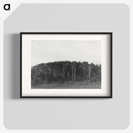 2-61_Leslie-Adkin_blk