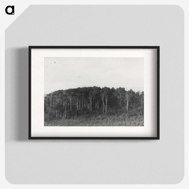 2-61_Leslie-Adkin_blk