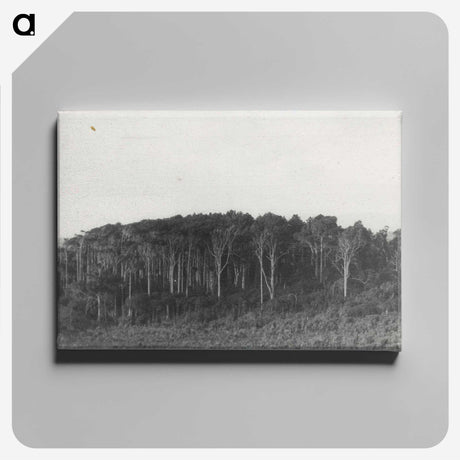 2-61_Leslie-Adkin_canvas