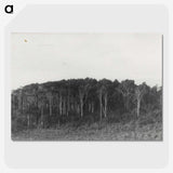 2-61_Leslie-Adkin_picture-crop