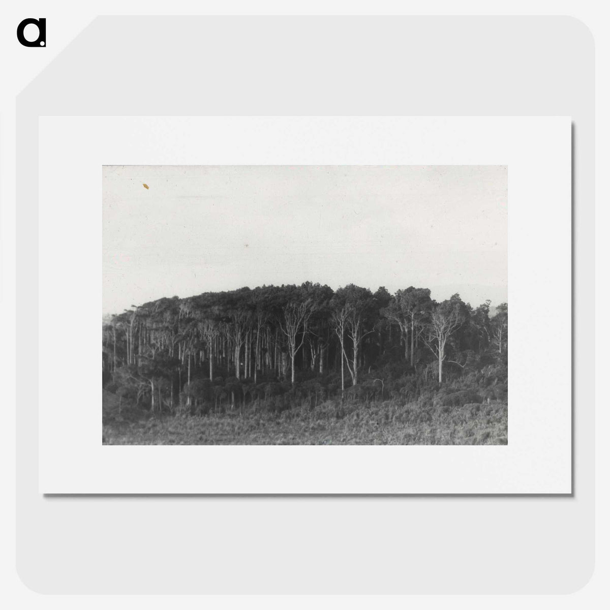 2-61_Leslie-Adkin_picture