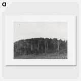 2-61_Leslie-Adkin_picture
