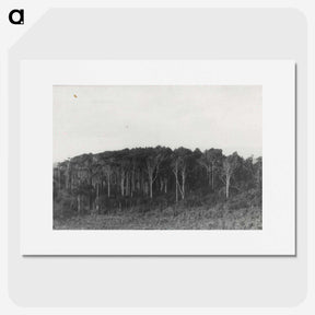 2-61_Leslie-Adkin_picture