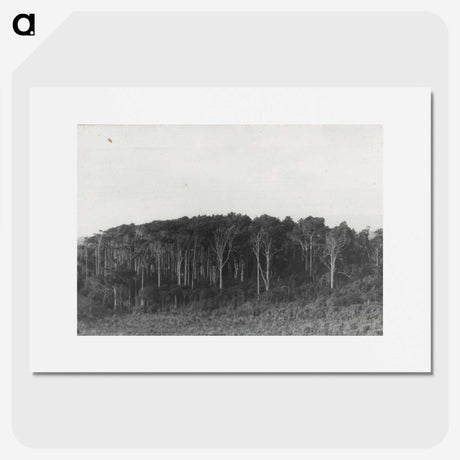 2-61_Leslie-Adkin_picture