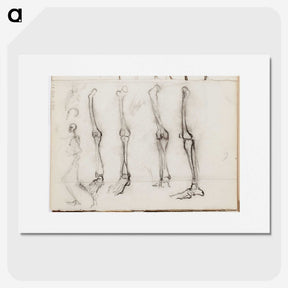 2-61_Magnus-Enckell_picture