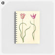 2-61_Maria-Sibylla-Merian_memo
