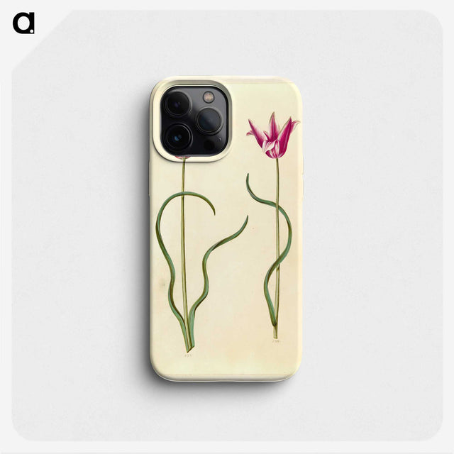 2-61_Maria-Sibylla-Merian_phone