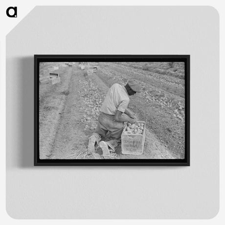2-61_Marion-Post-Wolcott_blk-crop