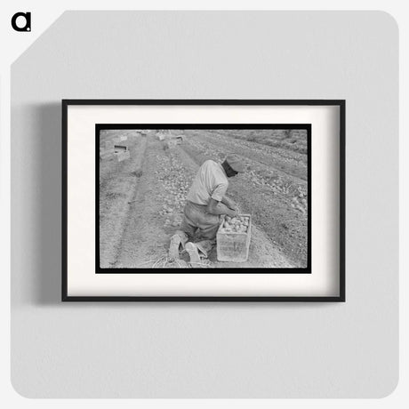 2-61_Marion-Post-Wolcott_blk
