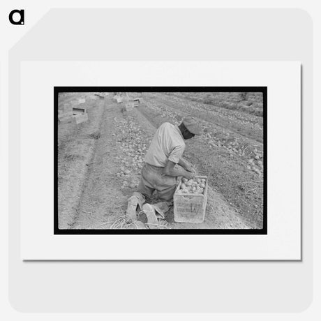 2-61_Marion-Post-Wolcott_picture