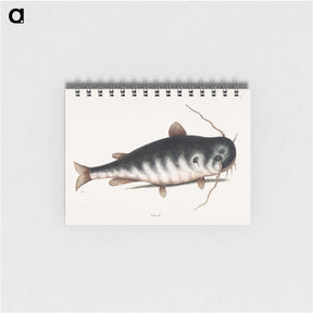 2-61_Mark-Catesby_memo