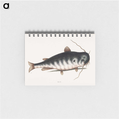 2-61_Mark-Catesby_memo