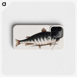 2-61_Mark-Catesby_phone