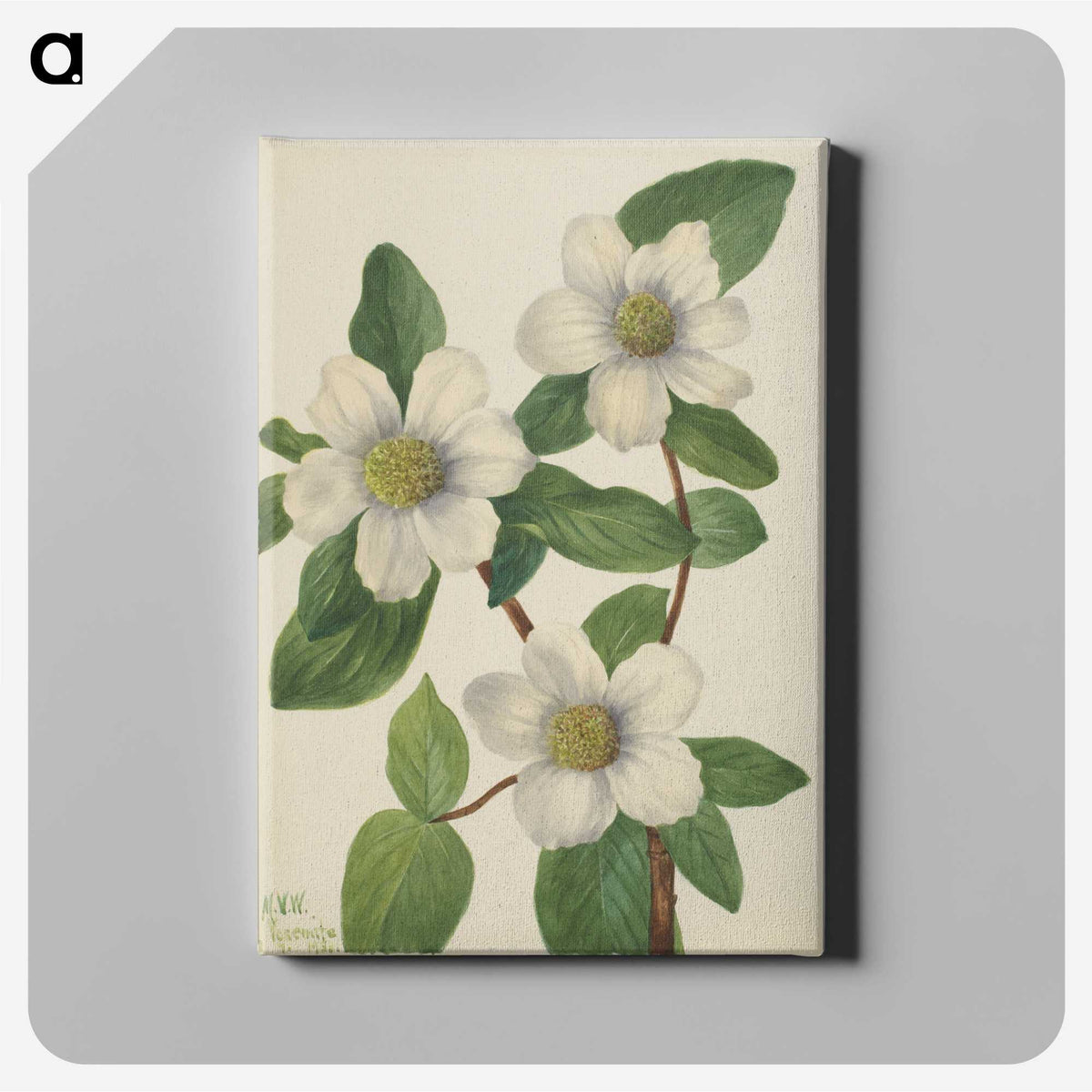 2-61_Mary-Vaux-Walcott_canvas