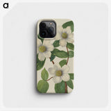 2-61_Mary-Vaux-Walcott_phone