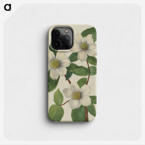 2-61_Mary-Vaux-Walcott_phone