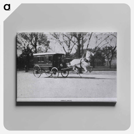 アートパネル-Central Dispensary and Emergency Hospital, Washington, D.C: Horse Drawn Ambulance
 - 国立医学図書館 Canvas.