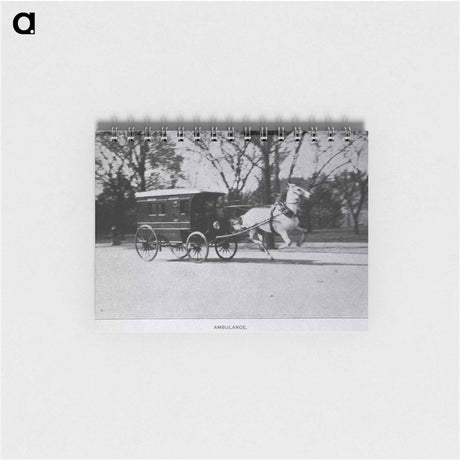 アートメモ帳-Central Dispensary and Emergency Hospital, Washington, D.C: Horse Drawn Ambulance
 - 国立医学図書館 Memo.