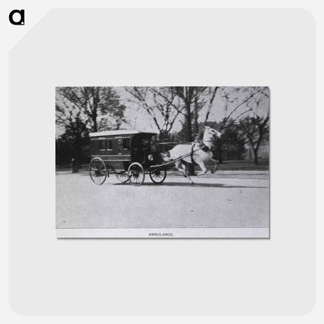 アートポストカード-Central Dispensary and Emergency Hospital, Washington, D.C: Horse Drawn Ambulance
 - 国立医学図書館 Postcard.