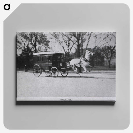 2-61_National-Library-of-Medicine_canvas