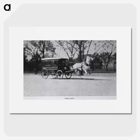 2-61_National-Library-of-Medicine_picture
