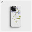 2-61_Pierre-Joseph-Redoute_phone