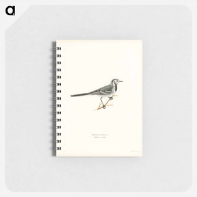 アートメモ帳-Pied Wagtail
 - スヴェンスカ フォグラル Memo.