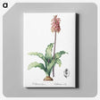 2-61_The-Lilies_canvas