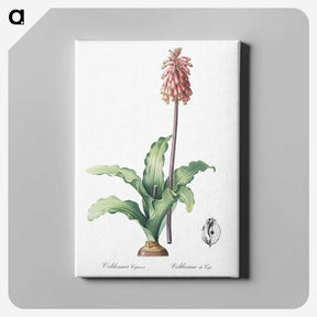 2-61_The-Lilies_canvas