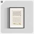 アートポスター-Insects and Carnation from Mira Calligraphiae Monumenta
 - 書道のお手本 Poster.