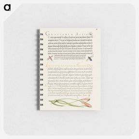 アートメモ帳-Insects and Carnation from Mira Calligraphiae Monumenta
 - 書道のお手本 Memo.