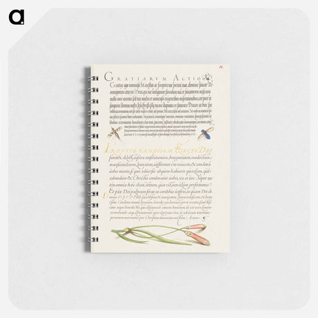 アートメモ帳-Insects and Carnation from Mira Calligraphiae Monumenta
 - 書道のお手本 Memo.