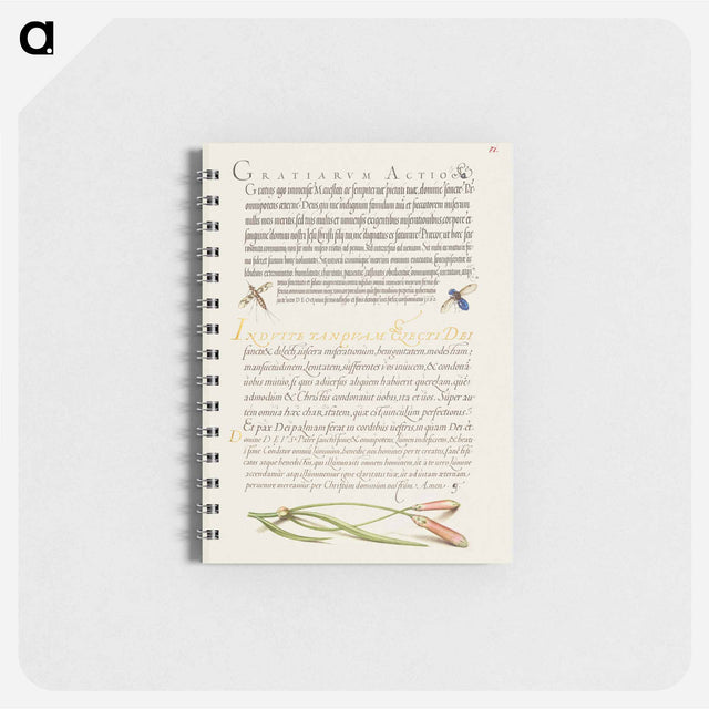 アートメモ帳-Insects and Carnation from Mira Calligraphiae Monumenta
 - 書道のお手本 Memo.