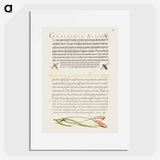 アートポスター-Insects and Carnation from Mira Calligraphiae Monumenta
 - 書道のお手本 Poster.