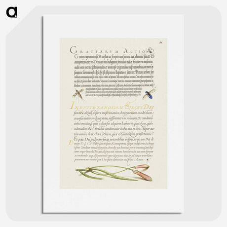 2-61_The-Model-Book-of-Calligraphy_picture