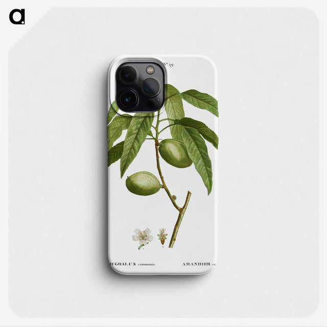 2-61_Treatise-on-Trees-and-Shrubs_phone