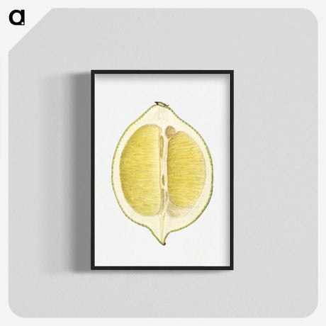 2-61_USDA-Watercolor-Fruit-Painting-Collection_blk-crop