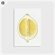 2-61_USDA-Watercolor-Fruit-Painting-Collection_postcard