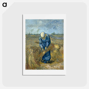 アートポストカード-Peasant woman binding sheaves - フィンセント ファン ゴッホ Postcard.