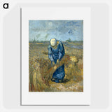 Peasant woman binding sheaves - Vincent van Gogh Poster.